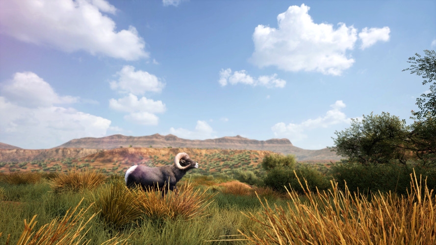 Hunting Simulator 2, Steam Gift