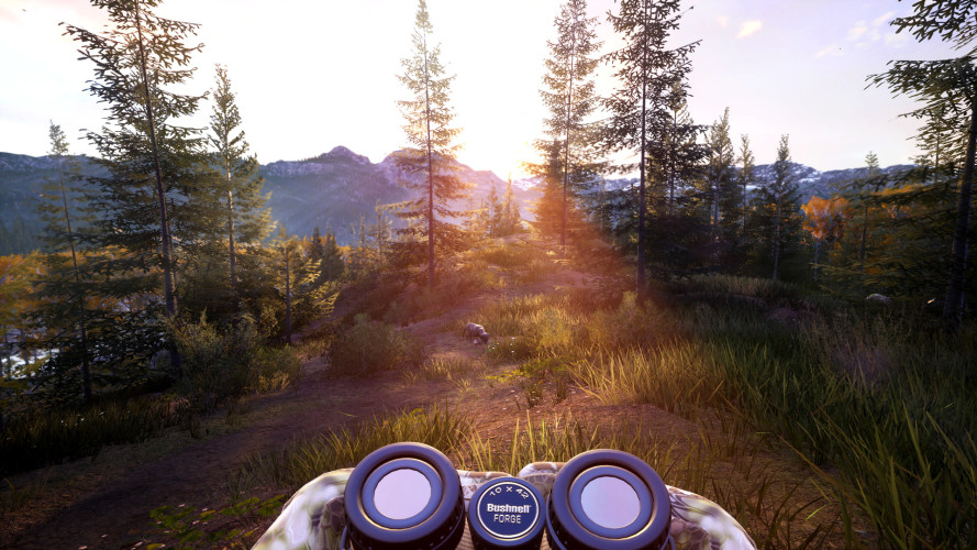Hunting Simulator 2, Steam Gift