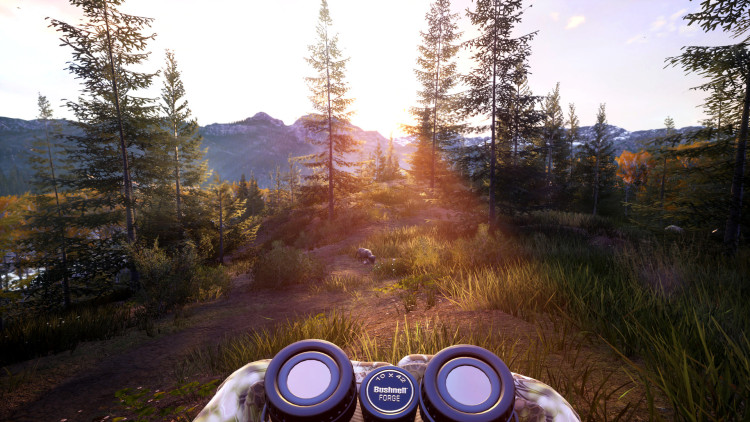 Hunting Simulator 2, Steam Gift