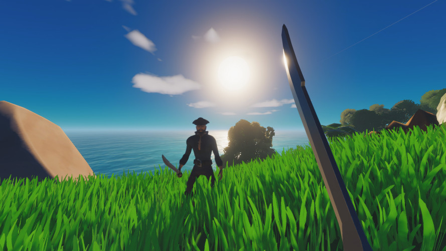 Salt 2: Shores of Gold, Steam Gift