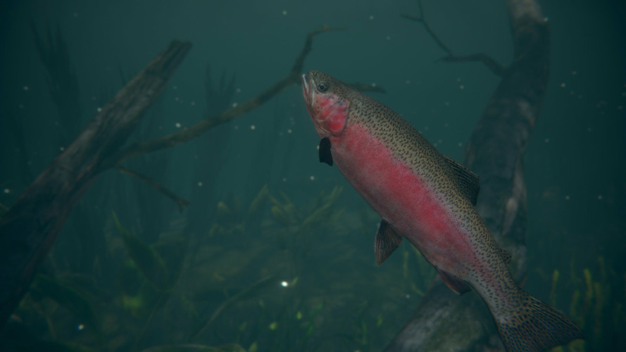 Ultimate Fishing Simulator 2, Steam Gift