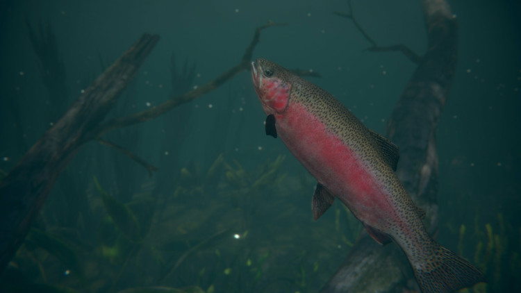 Ultimate Fishing Simulator 2, Steam Gift