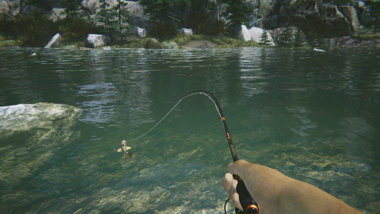 Ultimate Fishing Simulator 2, Steam Gift