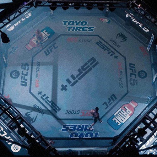 UFC 5 Deluxe Edition