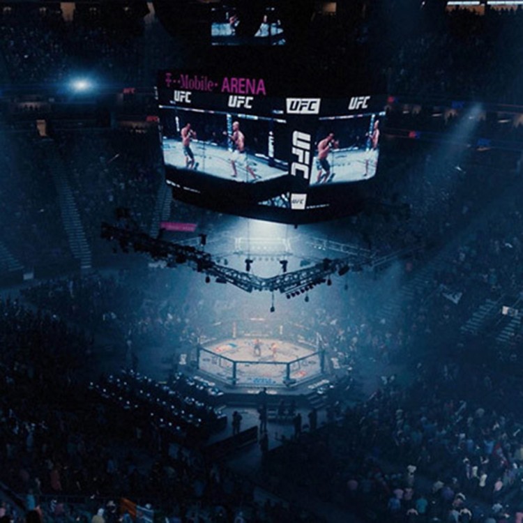 UFC 5 Deluxe Edition