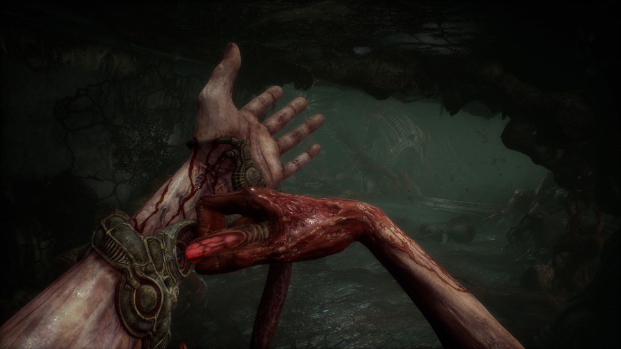 Scorn, Steam Gift