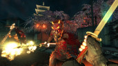 Shadow Warrior - Special Edition, Steam Gift