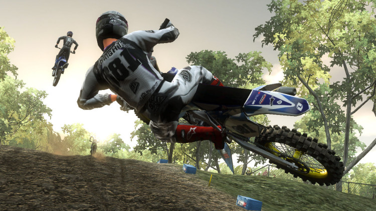MX vs. ATV Reflex, Steam Gift