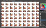 Krita, Steam Gift