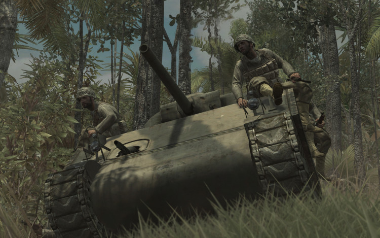 Call of Duty: World at War, Steam Gift