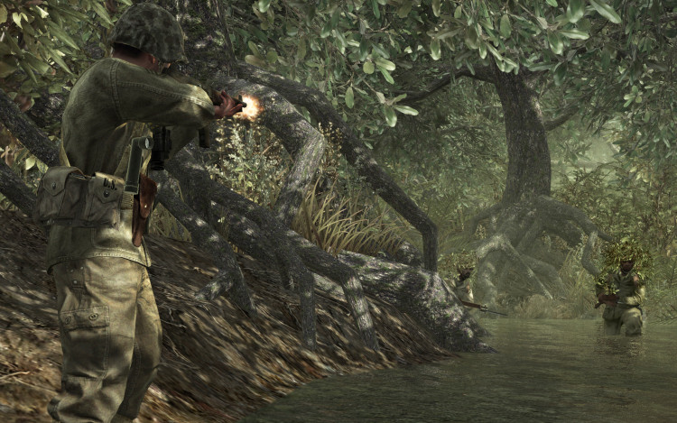 Call of Duty: World at War, Steam Gift