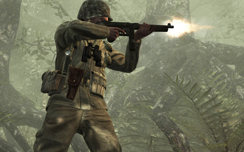 Call of Duty: World at War, Steam Gift