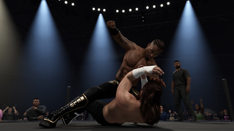 WWE 2K25 Farewell Tour Edition, Steam Gift