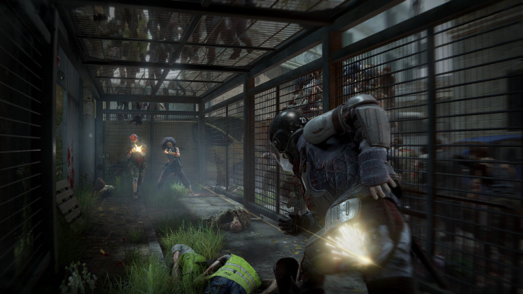 World War Z, Steam Gift
