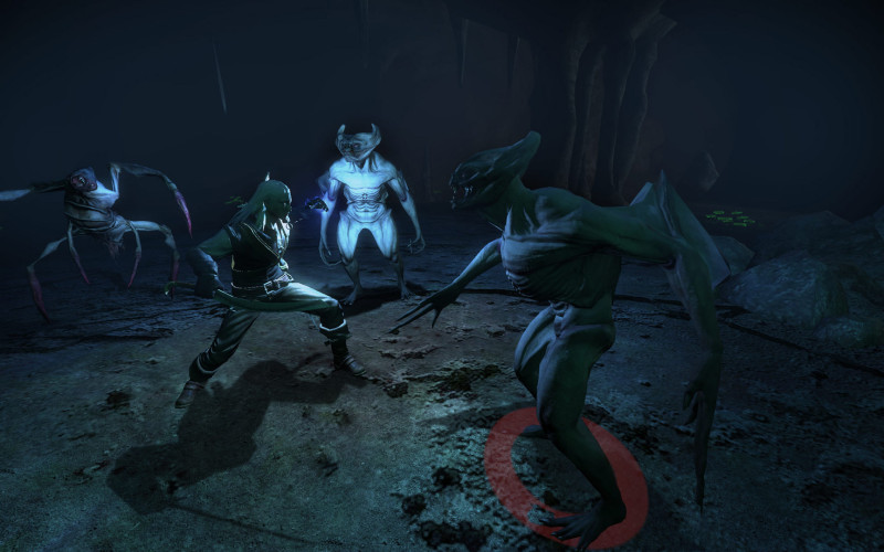 The Witcher: Enhanced Edition Director's Cut, Steam Gift