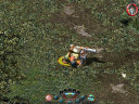 Sacred Gold, Steam Gift