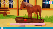 Bibi & Tina - New adventures with horses, Steam Gift