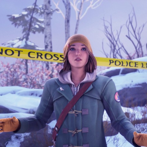 Игра Life is Strange: Double Exposure Standard Edition PlayStation 5