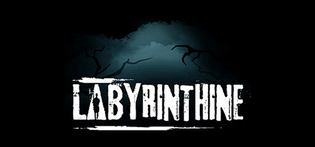 Labyrinthine, Steam Gift