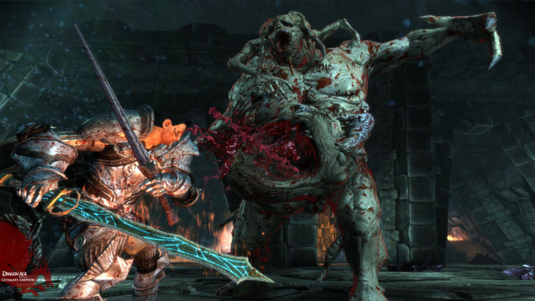 Dragon Age: Origins - Ultimate Edition, Steam Gift