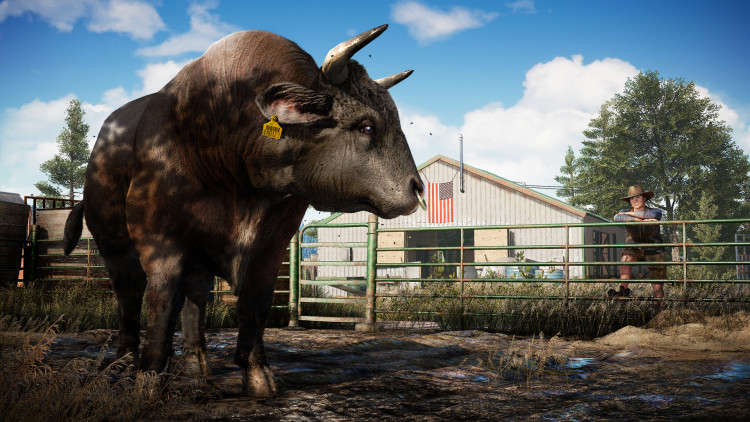 Far Cry 5 - Standard Edition, Steam Gift