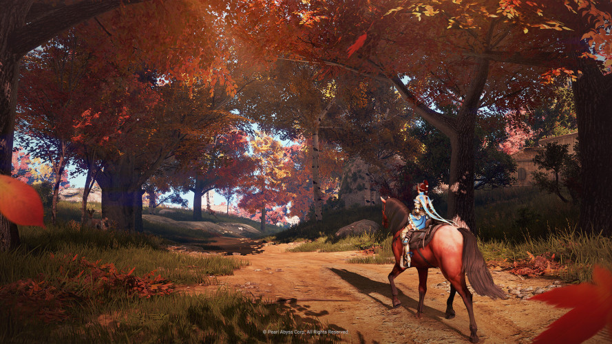 Black Desert, Steam Gift