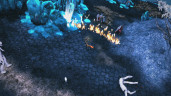 Sacred 2 Remaster, Steam Gift