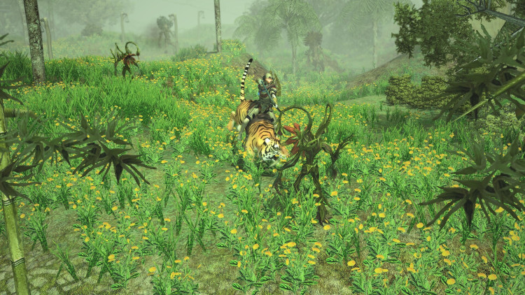 Sacred 2 Remaster, Steam Gift
