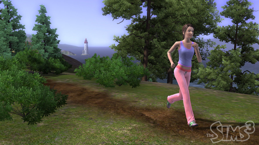 The Sims 3, Steam Gift
