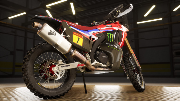 Dakar Desert Rally, Steam Gift