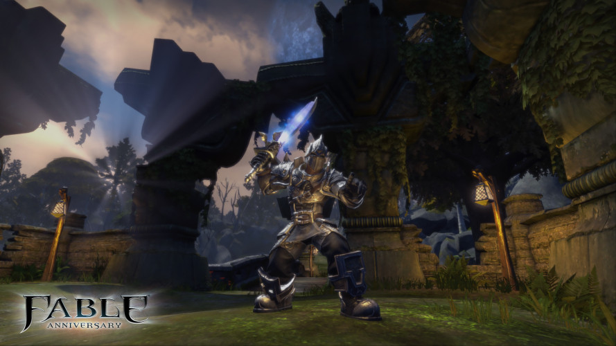 Fable Anniversary, Steam Gift