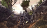 ArcaniA: Fall of Setarrif, Steam Gift