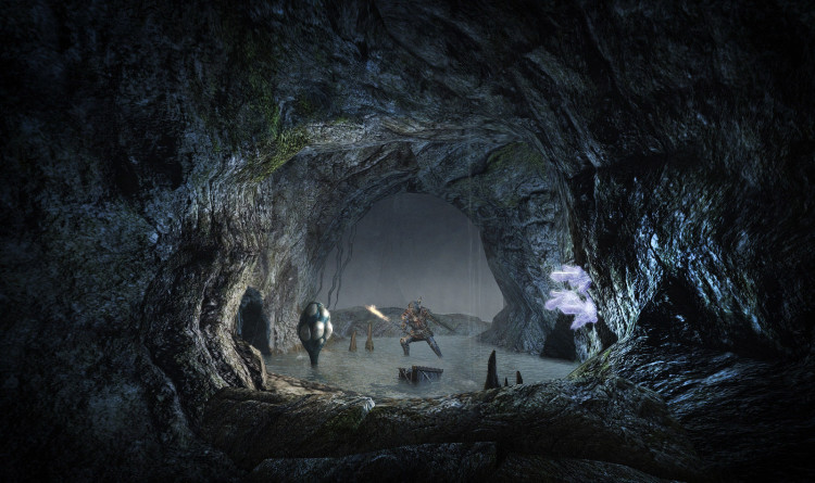 ArcaniA: Fall of Setarrif, Steam Gift