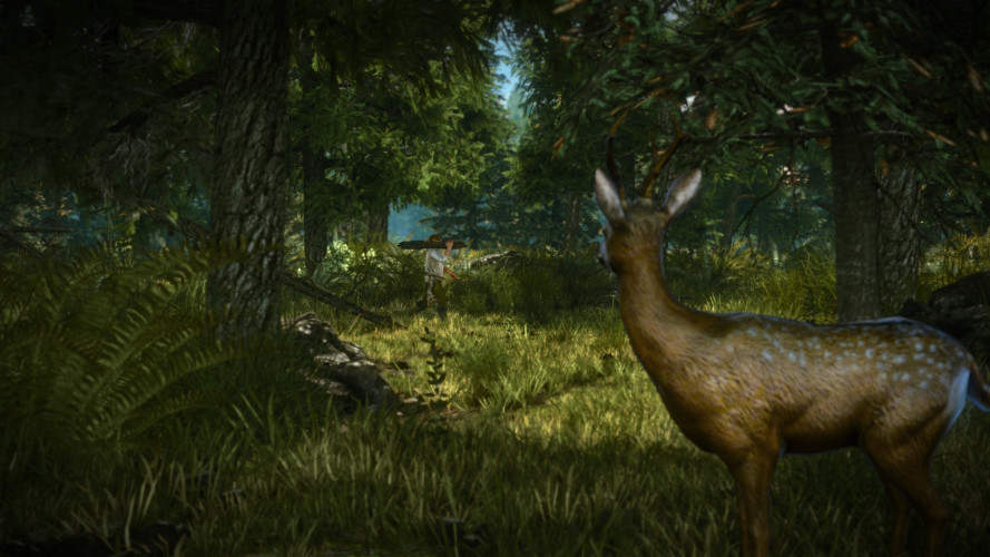 The Witcher 2: Assassins of Kings Enhanced Edition, Steam Gift