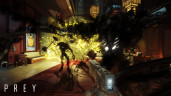 Prey, Steam Gift
