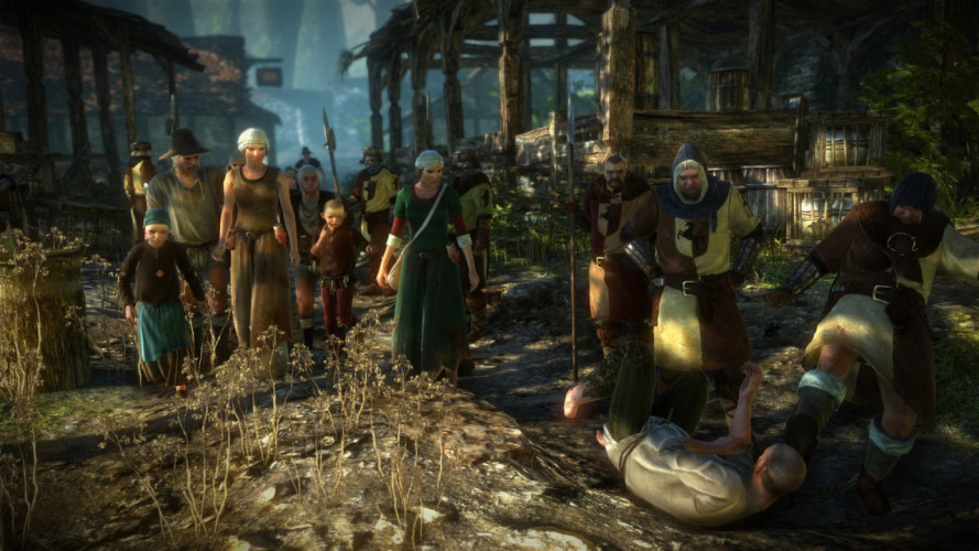The Witcher 2: Assassins of Kings Enhanced Edition - (RU), Steam Gift