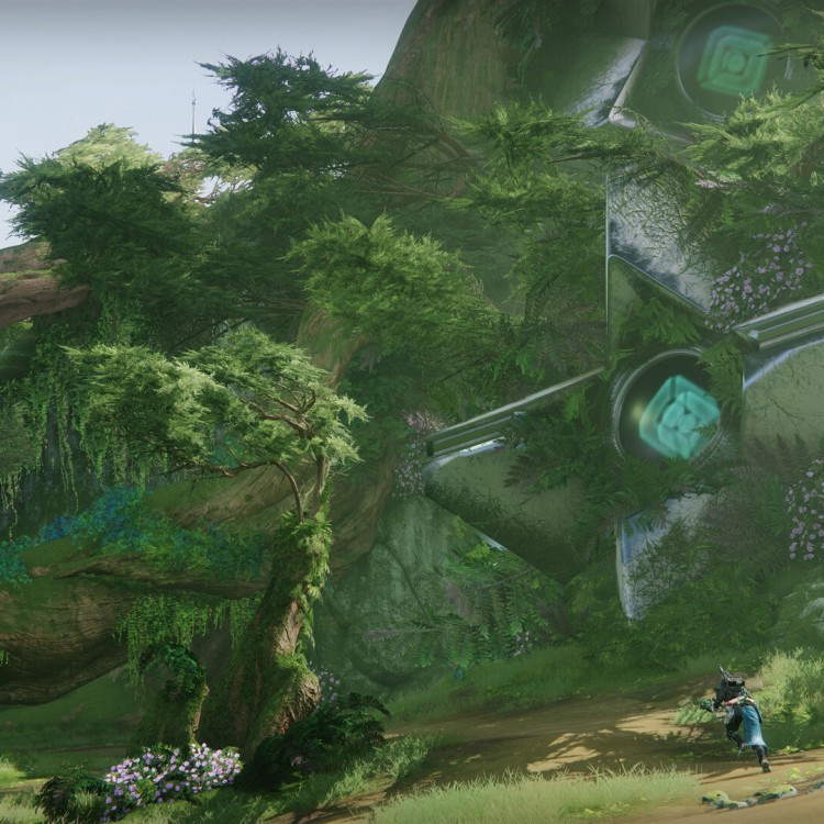 Игра Destiny 2: Финальная форма для PC / ПК, активация в стим Steam для региона РФ / Россия цифровой ключ