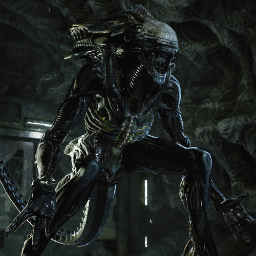 Aliens: Fireteam Elite, Steam Gift