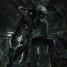Aliens: Fireteam Elite, Steam Gift