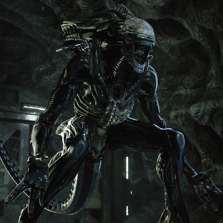 Aliens: Fireteam Elite, Steam Gift