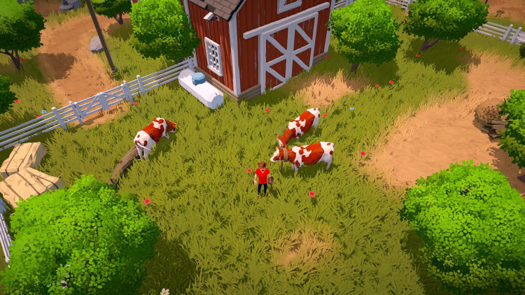The Ranchers, Steam Gift