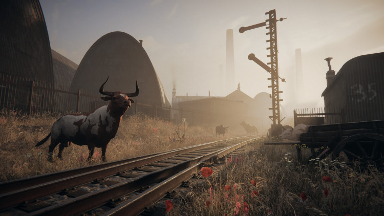 Pathologic 3, Steam Gift
