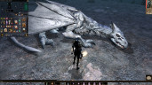 Neverwinter Nights: Enhanced Edition, Steam Gift