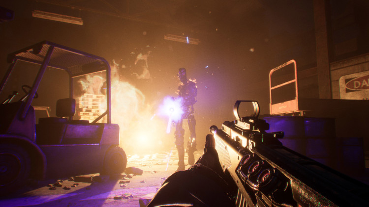 Terminator: Resistance, Steam Gift