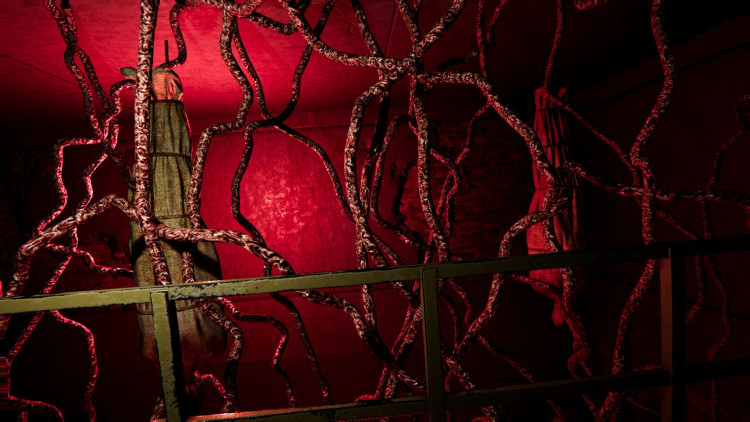Locked in my Darkness 2: The Room, Steam Gift