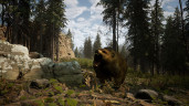 Outbreak Island, Steam Gift