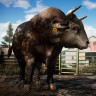Far Cry 5 + Far Cry New Dawn Deluxe Edition Bundle
