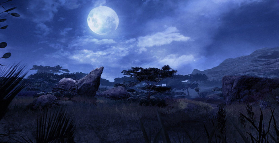 Far Cry 2, Steam Gift