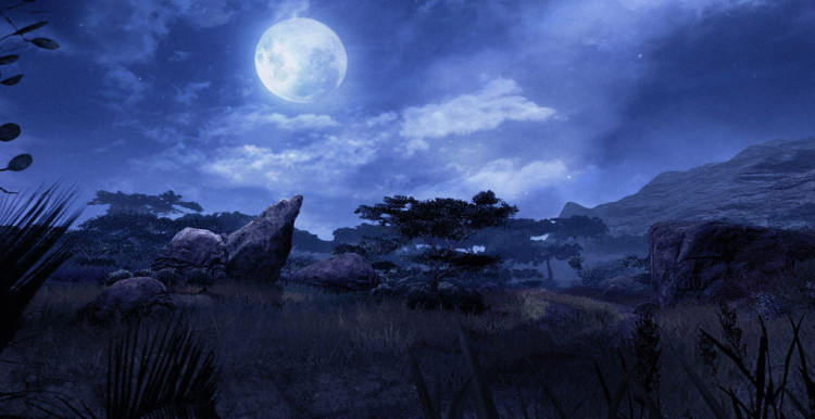 Far Cry 2, Steam Gift