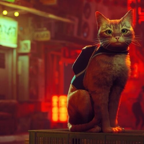 Игра Stray PlayStation 4 и PlayStation 5